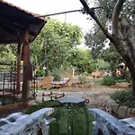Apartments Branimir