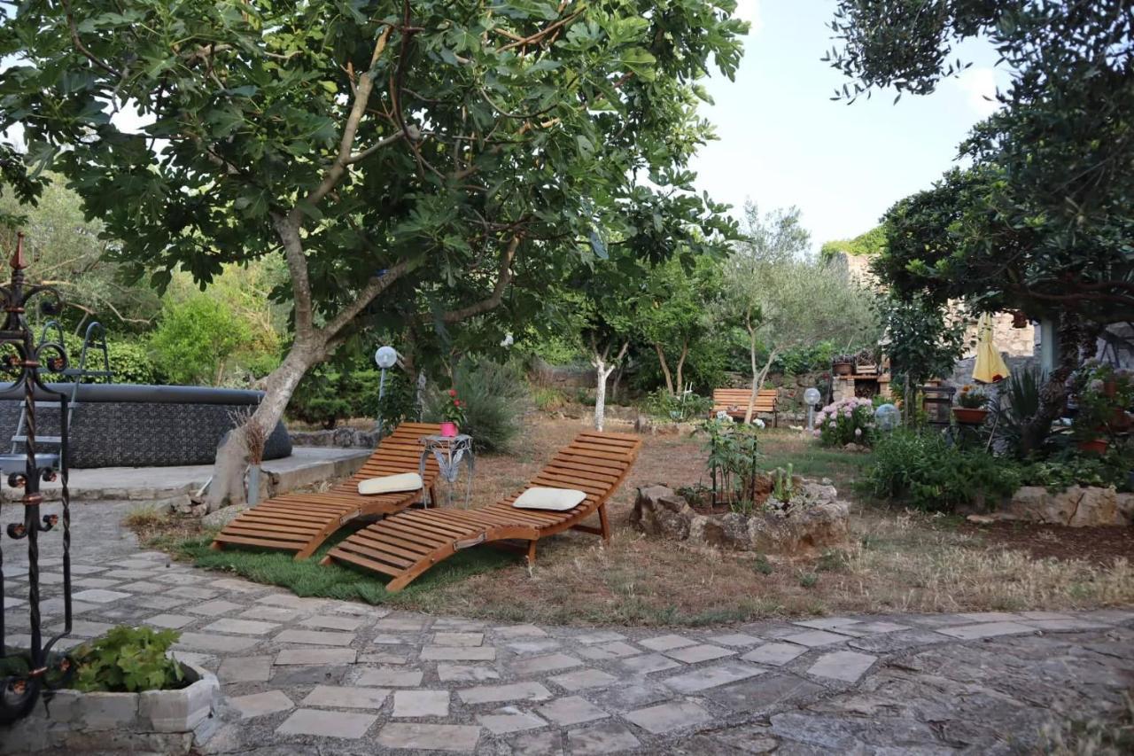 Apartment Branimir Zadar