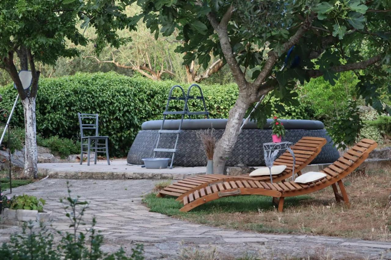 Apartment Branimir *