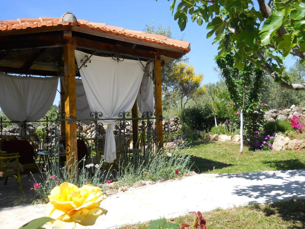 Branimir Apartament