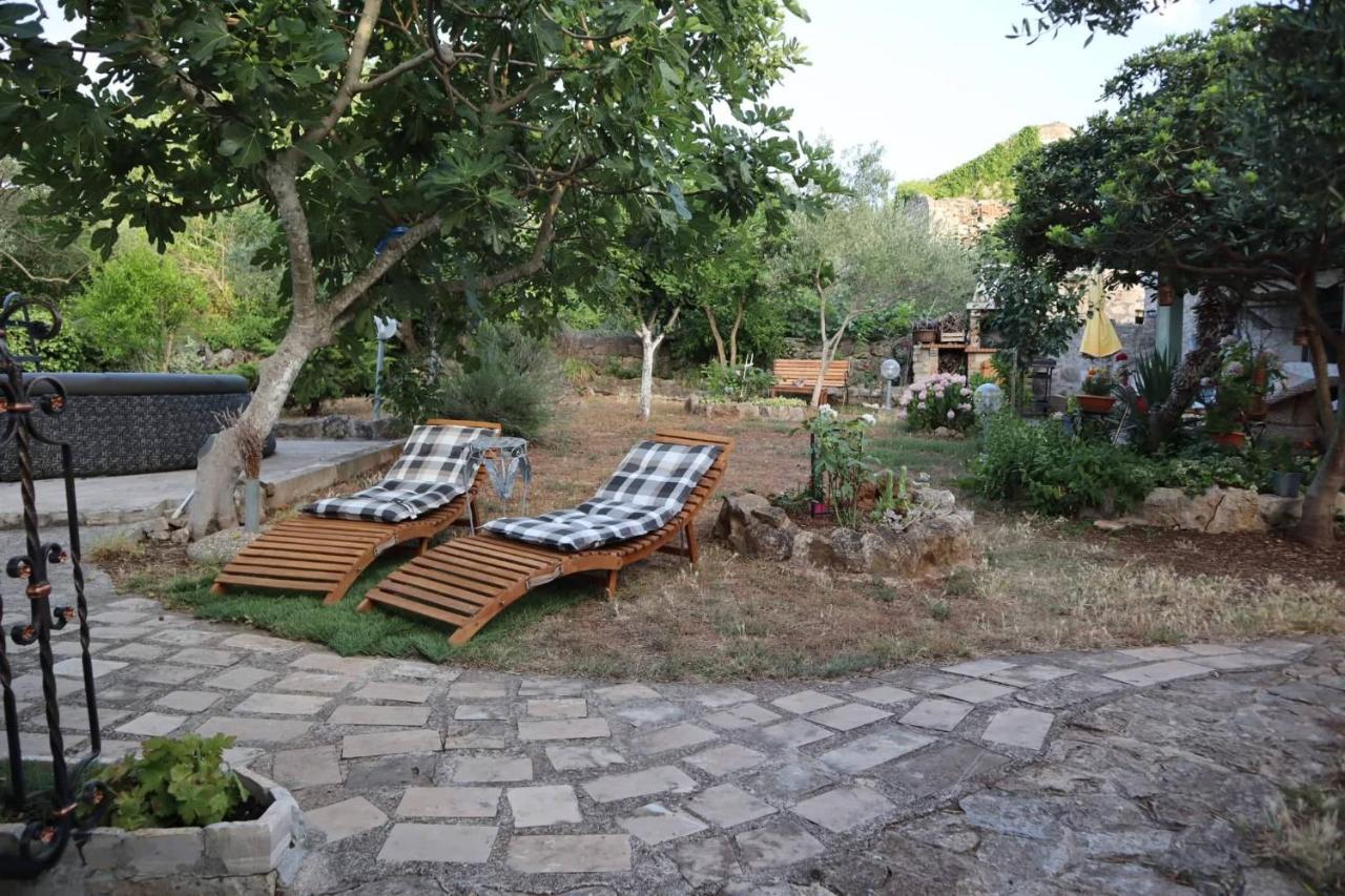 Apartment Branimir *