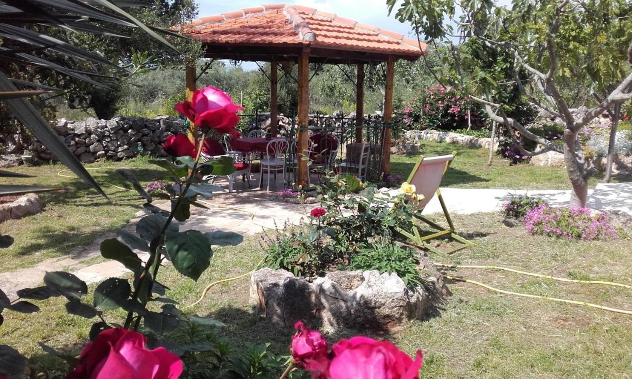 Apartment Branimir Zadar