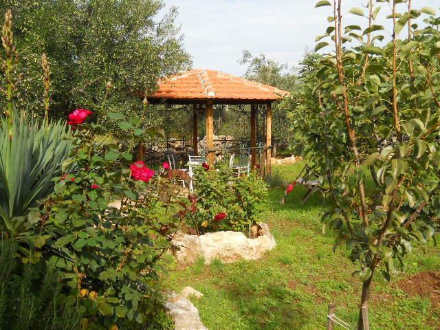 Branimir Apartment *