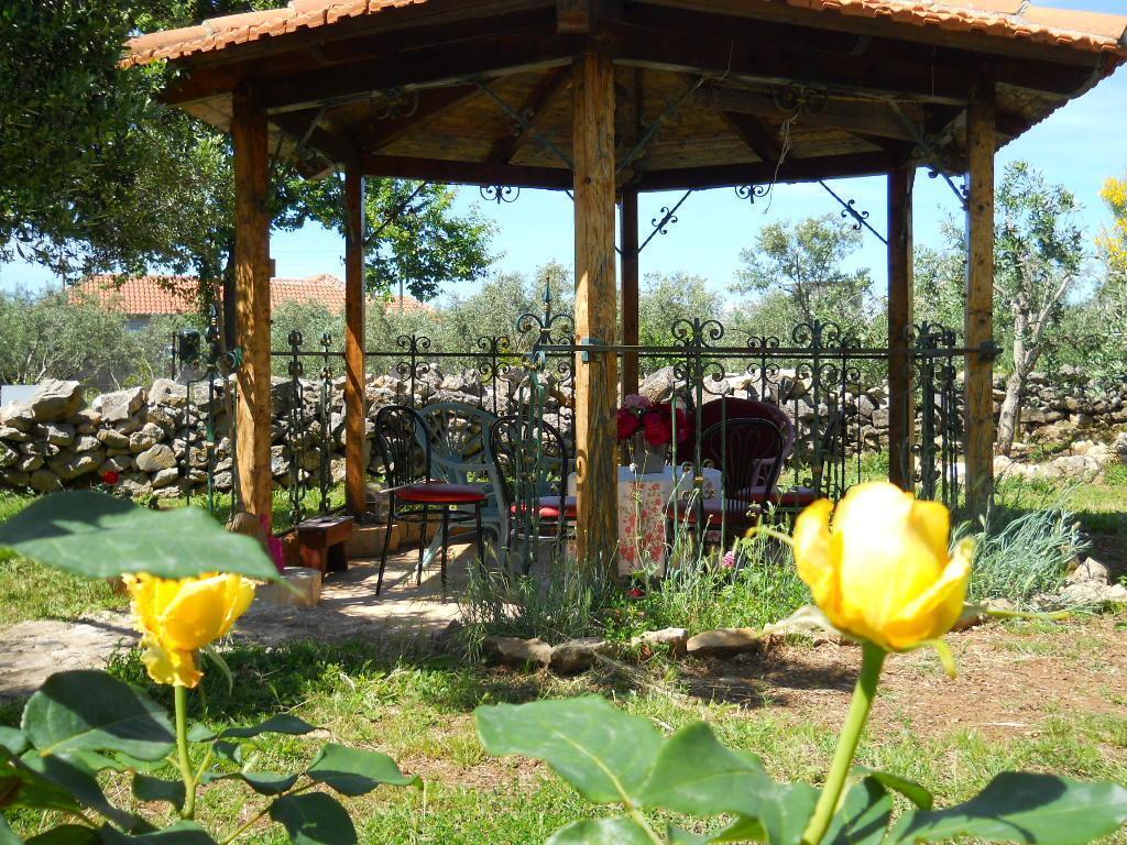 Apartment Branimir