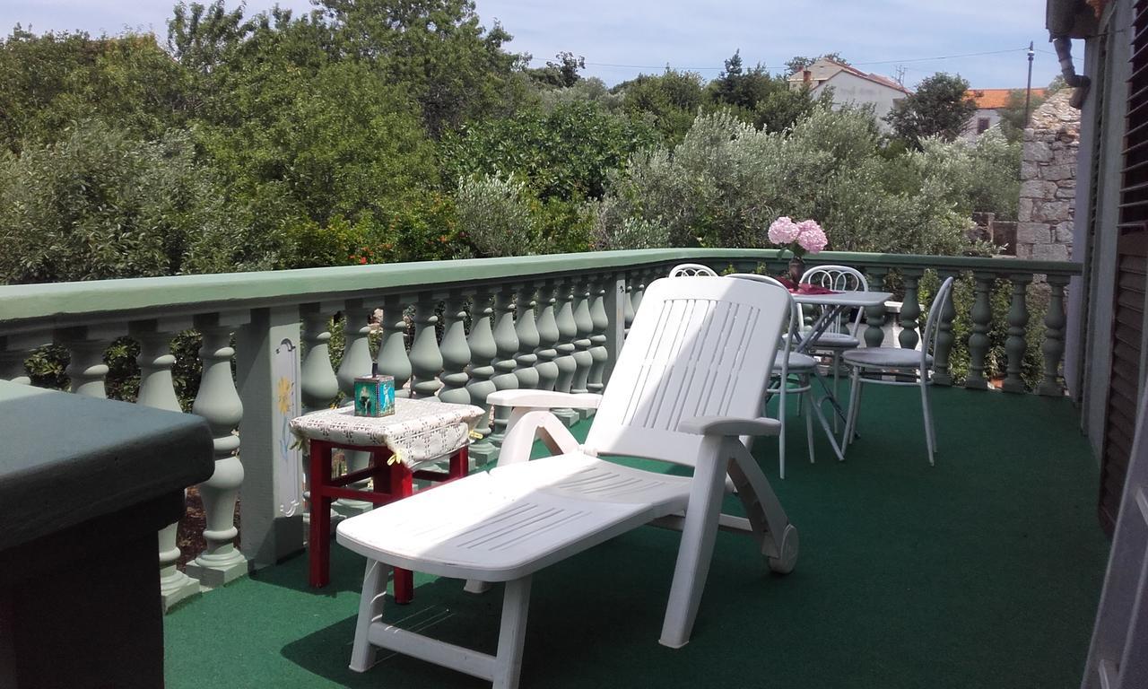 Apartment Branimir *