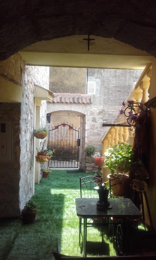 Apartment Branimir