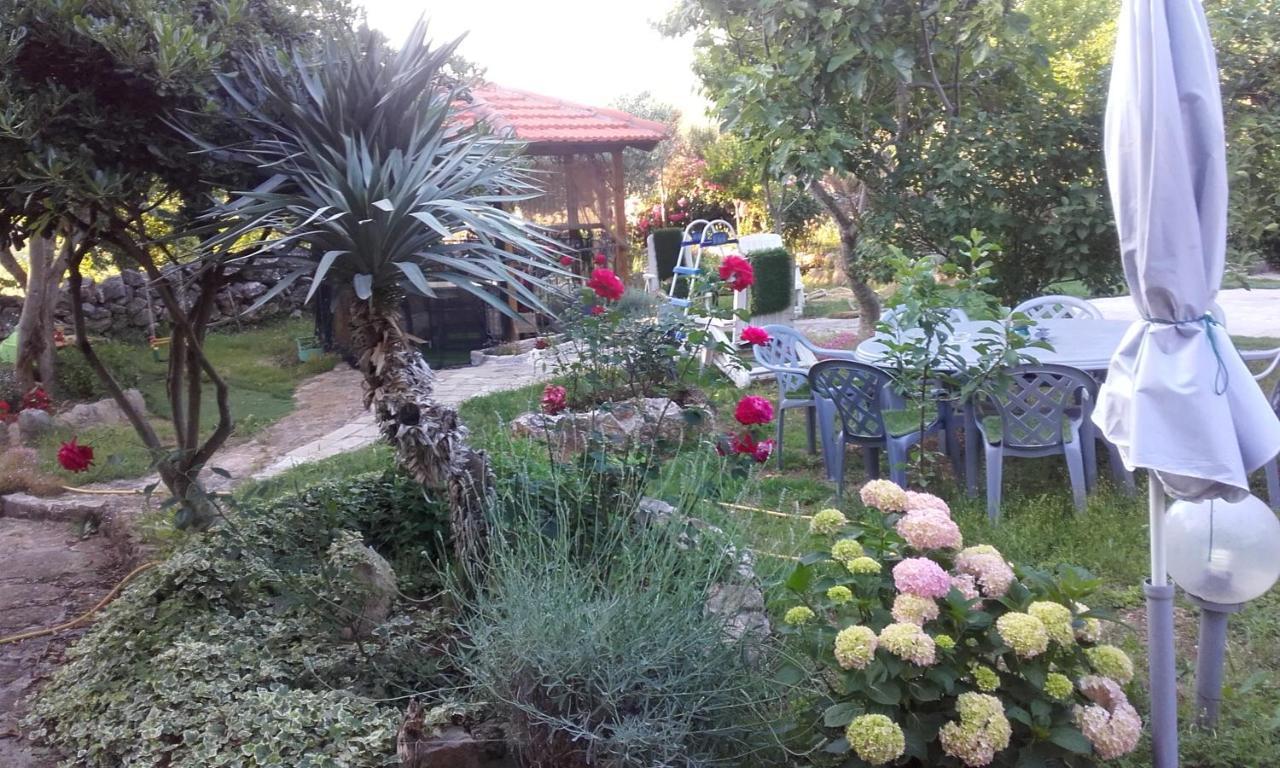 Branimir Apartment *