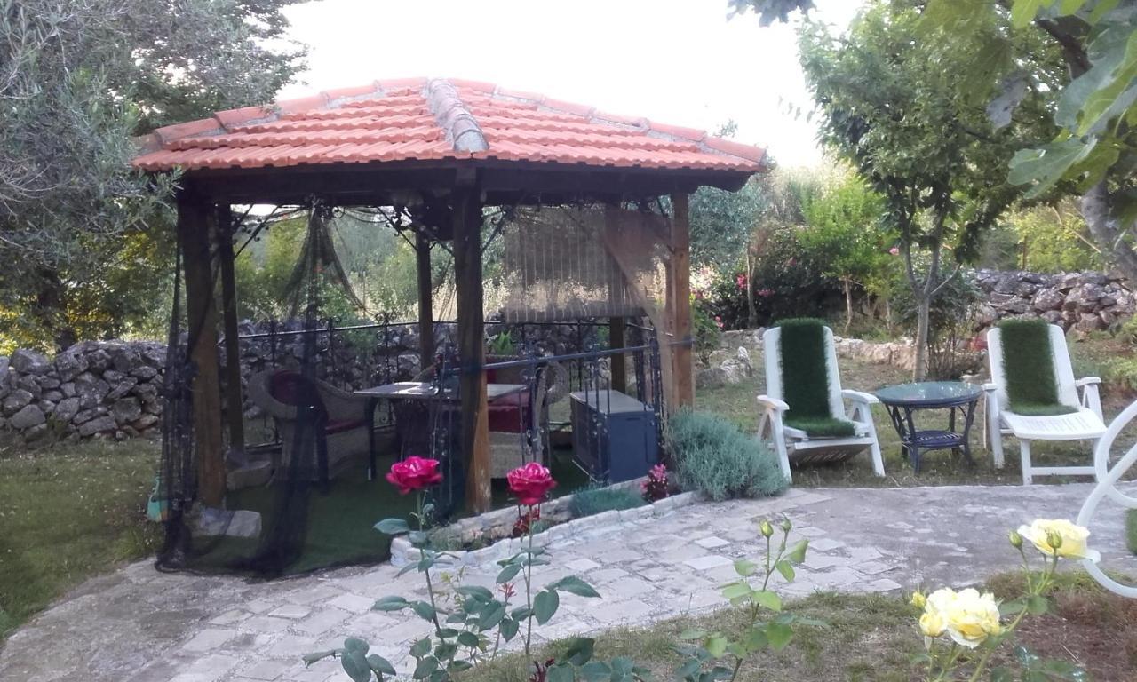 Apartment Branimir