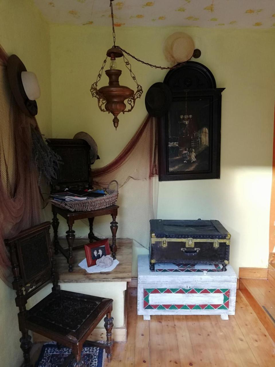 Branimir Apartament